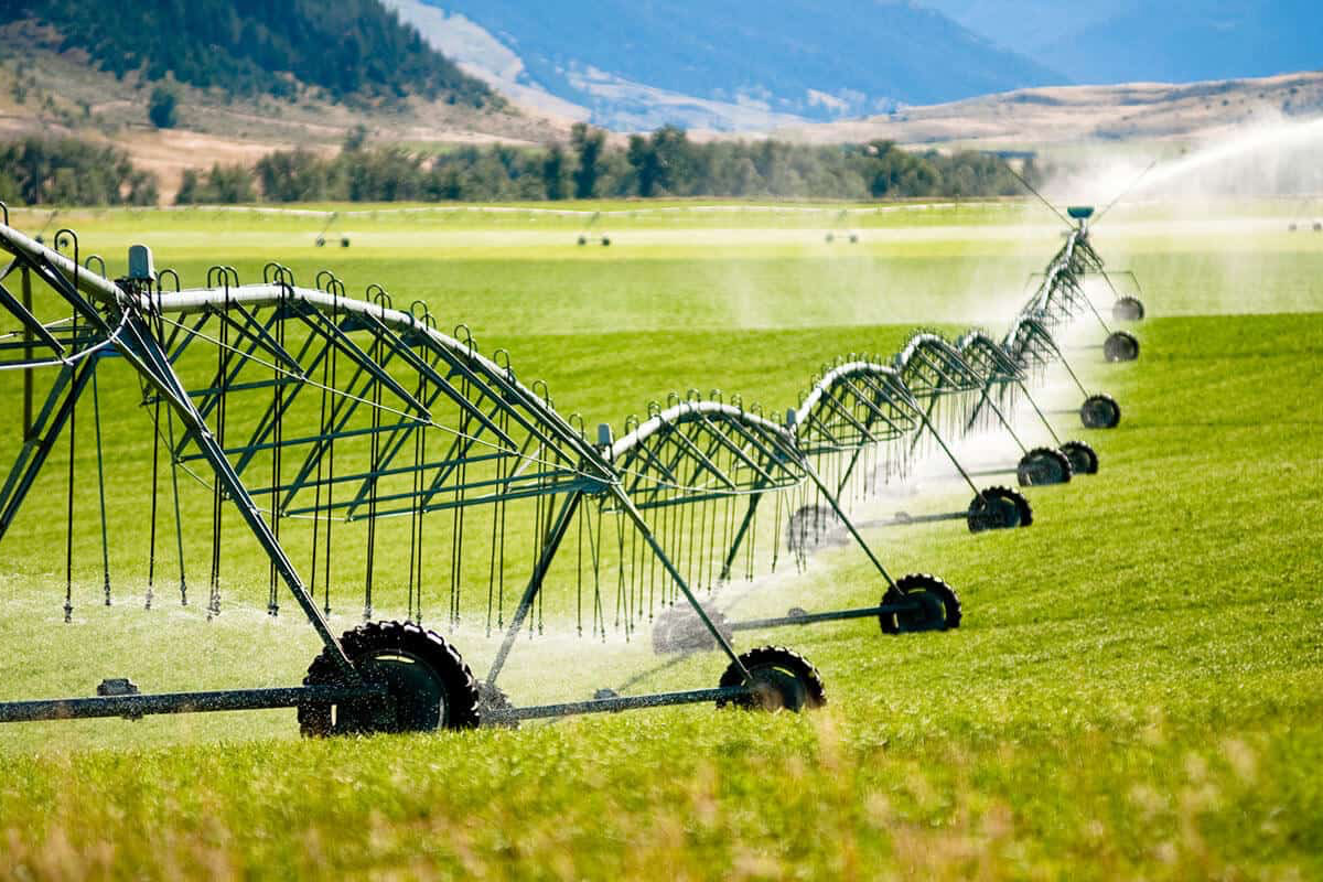 field watering system